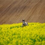 Przedsiębiorstwo w Rękach Fachowców: Kluczowe Zadania Skutecznego Prowadzenia Firmą.